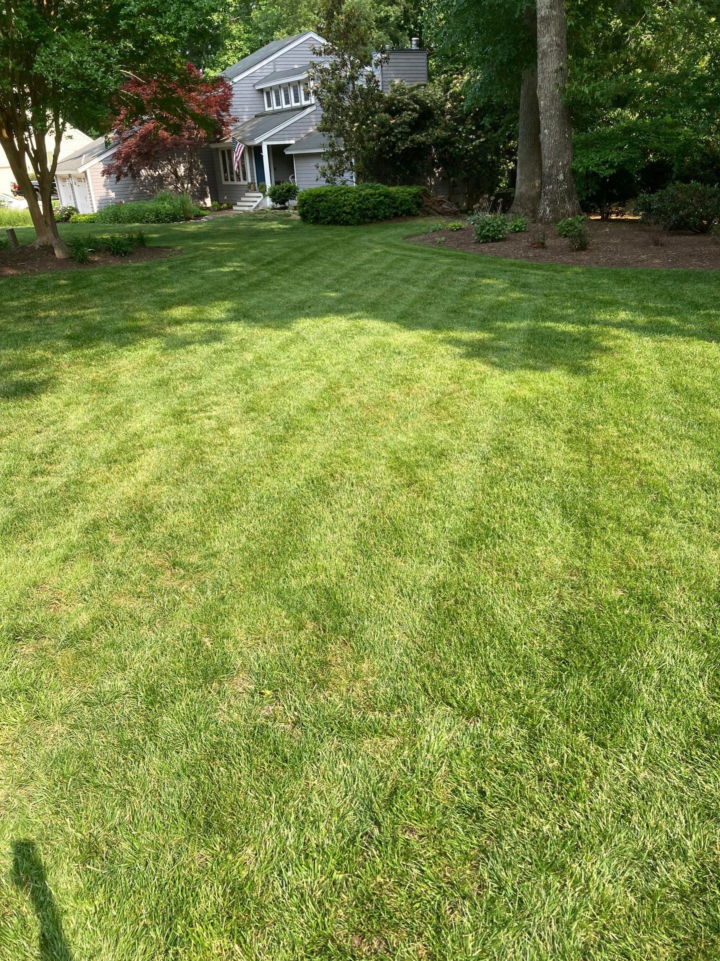 Lawn Maintenance